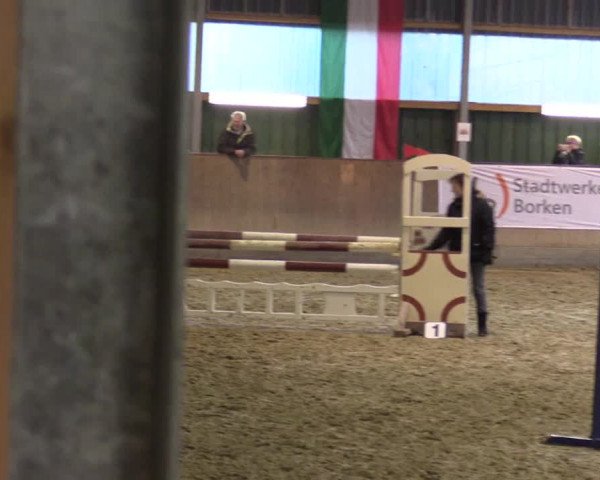 3. Hallenspringturnier Velen 2017