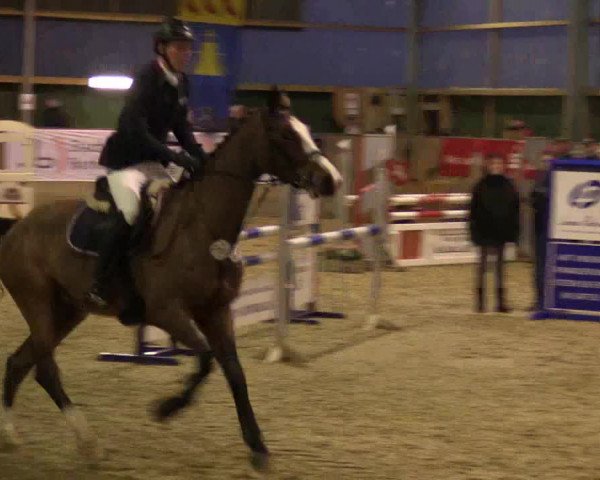 3. Hallenspringturnier Velen 2017
