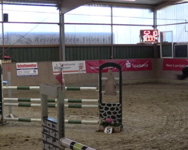 3. Hallenspringturnier Velen 2017