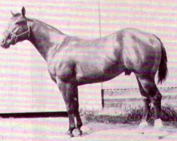 Deckhengst Sunup's Wimpy (Quarter Horse, 1963, von George Paul)