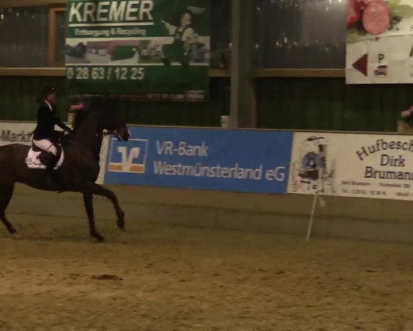 3. Hallenspringturnier Velen 2017