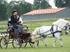 Zuchtstute Dorle von der Haner Au (Shetland Pony, 2001, von Olly)