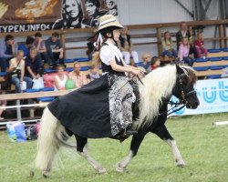 stallion Flaps (Shetland Pony, 1996, from Fridolin)