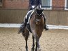 dressage horse Faradai OLD (Oldenburg, 2011, from Fürstenball)