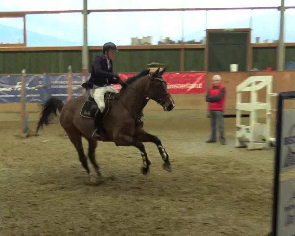 3. Hallenspringturnier Velen 2017