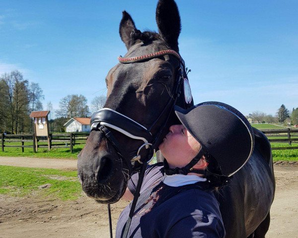 dressage horse Mona Lisa (Westphalian, 1997, from Mon Cher)