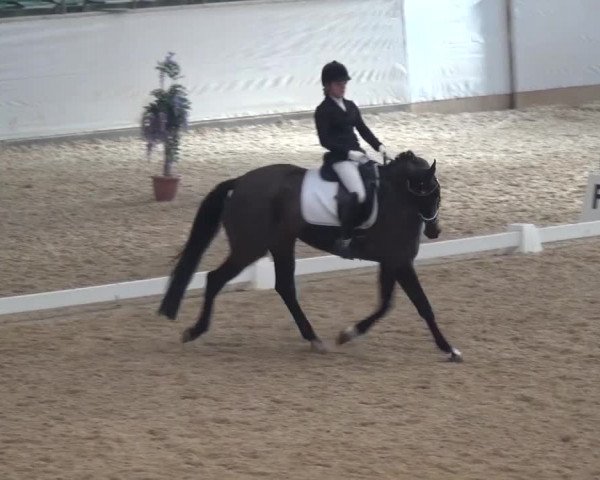 Hallen-Dressurturnier Kreuth 2017