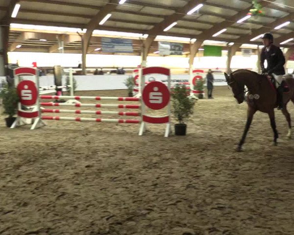 Reitturnier Barlo-Bocholt 2017