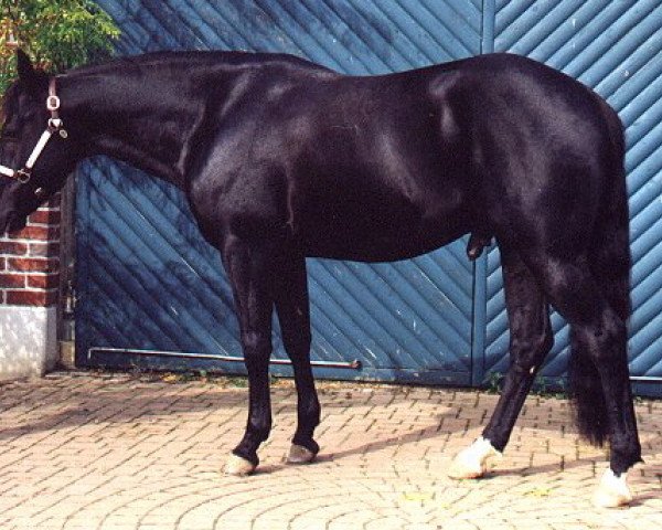 stallion Okie Sanolena (Quarter Horse, 1995, from Okie B Lena)