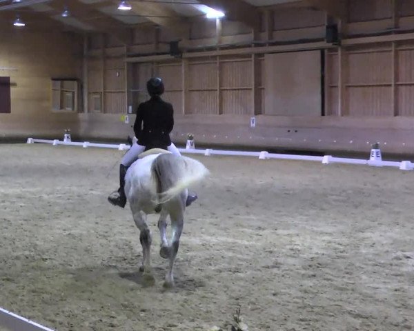 1. Hallen Dressurturnier des Riders Club Luxembourg 2017