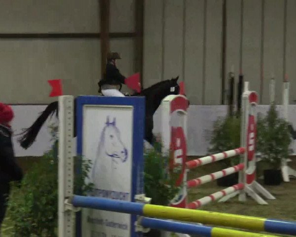 Reitturnier Barlo-Bocholt 2017