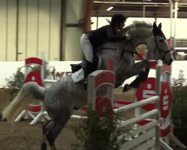 Reitturnier Barlo-Bocholt 2017