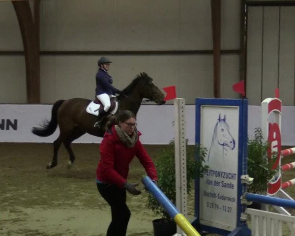 Reitturnier Barlo-Bocholt 2017