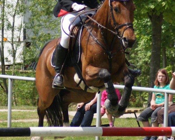 broodmare Mirabell (German Sport Horse, 2004, from Eklat)