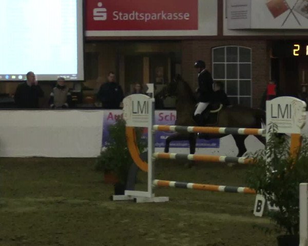 Reitturnier Barlo-Bocholt 2017