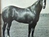 Deckhengst Isis Rock (Quarter Horse, 1958, von Rocksprings)