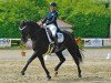 dressage horse Royal Flesh (Hanoverian, 2004, from Royal Highness)