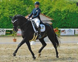 dressage horse Royal Flesh (Hanoverian, 2004, from Royal Highness)