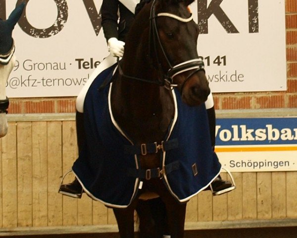 dressage horse Lenny (Westphalian, 2005, from Lord Loxley I)