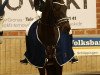 dressage horse Lenny (Westphalian, 2005, from Lord Loxley I)