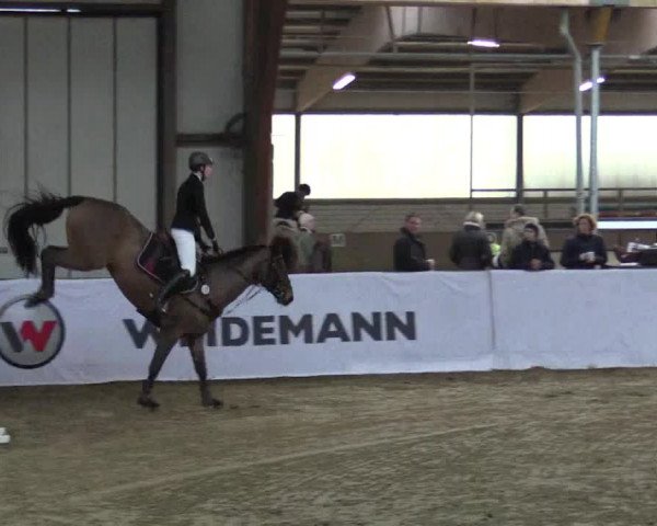 Reitturnier Barlo-Bocholt 2017