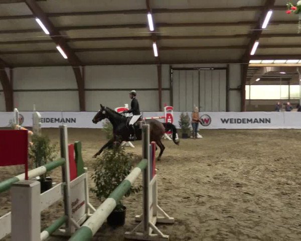 Reitturnier Barlo-Bocholt 2017