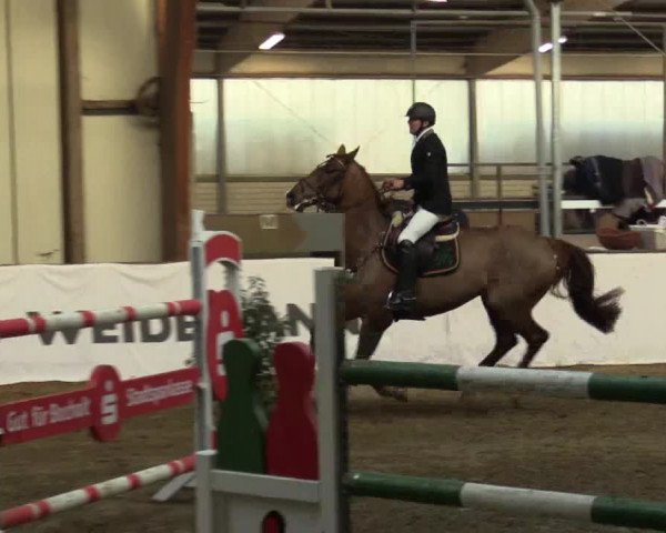 Reitturnier Barlo-Bocholt 2017
