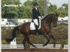 dressage horse Santiago B (Mecklenburg, 2008, from Sergeant Pepper I)