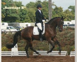 dressage horse Santiago B (Mecklenburg, 2008, from Sergeant Pepper I)