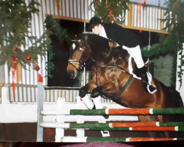 horse Artus 132 (Danish Warmblood, 1978, from Alibi)