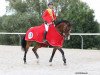 broodmare Quentina-H (Czech Warmblood, 2012, from Quentin H)