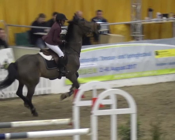 VER-Dinale 2017