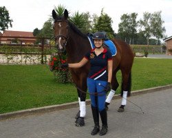 dressage horse Salome Saintes Marie de la mer (Rhinelander, 2008, from Sandro Classic)