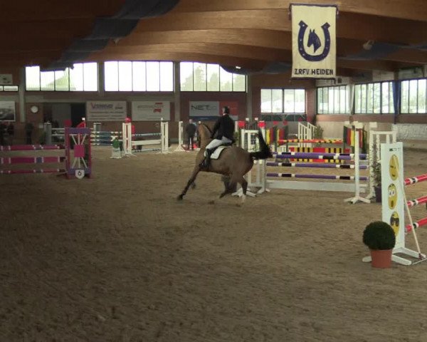 Hallen Springturnier Heiden 2017