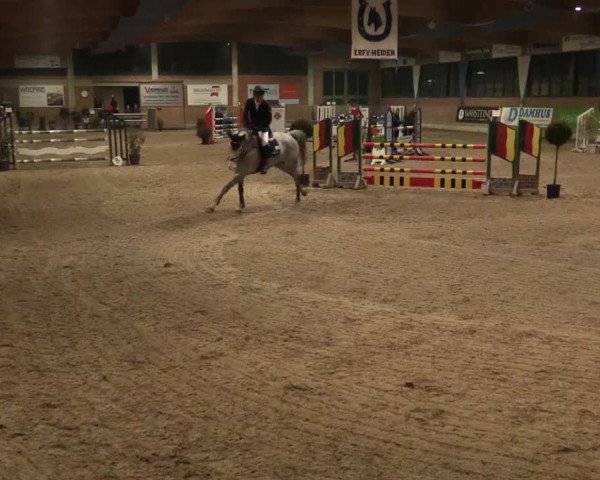 Hallen Springturnier Heiden 2017