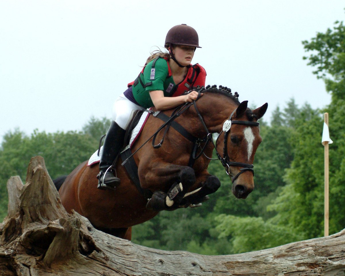 broodmare Belissima (German Riding Pony, 1998, from Brillant)