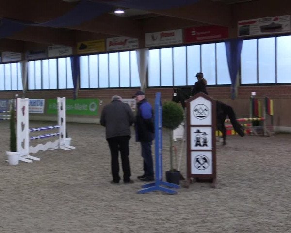 Hallen Springturnier Heiden 2017