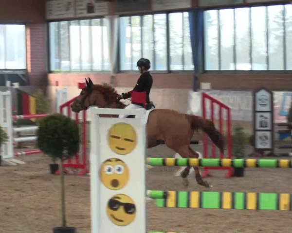 Hallen Springturnier Heiden 2017
