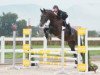 jumper Quadrifoglio Kzi CH (Swiss Warmblood, 2011, from Quality 9)