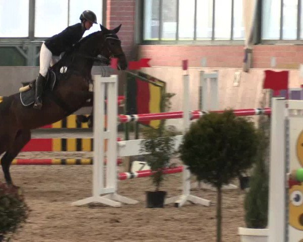 Hallen Springturnier Heiden 2017