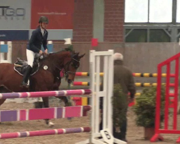 Hallen Springturnier Heiden 2017