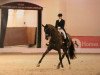 dressage horse Der Graf 2 (Westphalian, 2009, from Damon Hill)