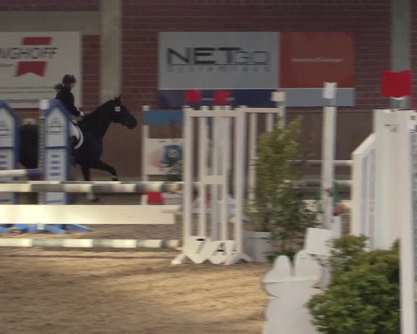 Hallen Springturnier Heiden 2017