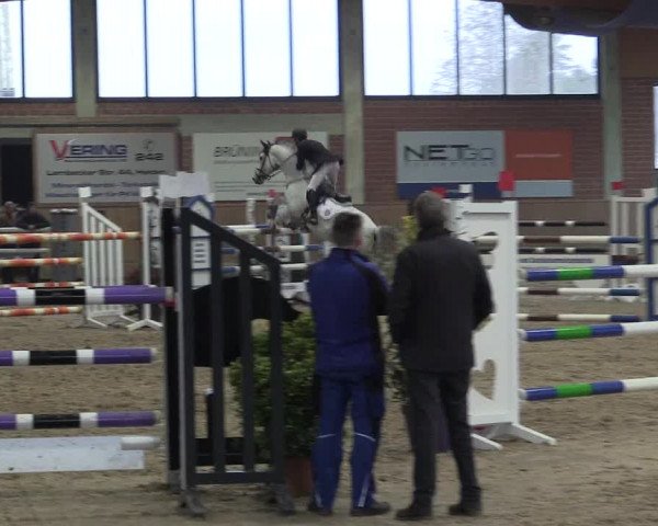 Hallen Springturnier Heiden 2017