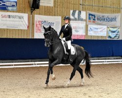 dressage horse De Cento (Westphalian, 2007, from Del Cento)