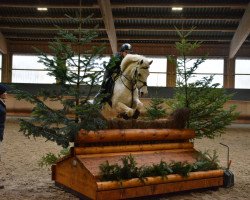 jumper Janosch MZ (German Riding Pony, 2005, from Jacobspeel's Rocky)