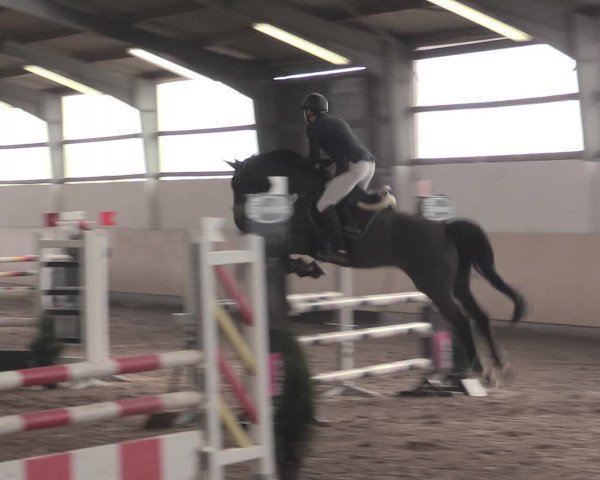 Spring Late-Entry Datteln 2017