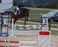 jumper Solito (Hanoverian, 2014, from Stakkato Gold)