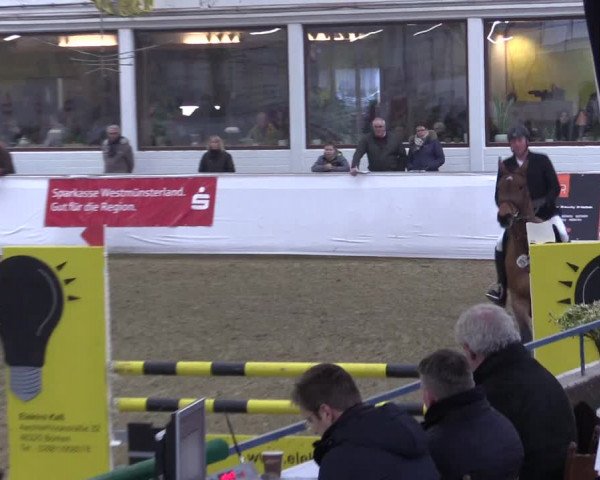 Frühjahrsturnier Borken 2017