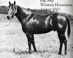 Deckhengst Big Step (Quarter Horse, 1956, von Parker's Trouble)